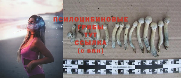 мяу мяу кристалл Баксан
