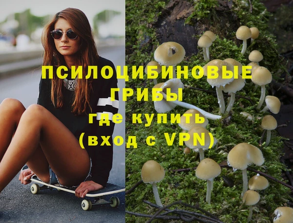 эйфоретик Балахна