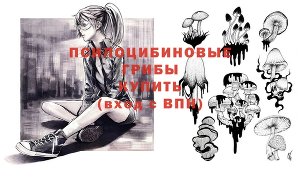 эйфоретик Балахна