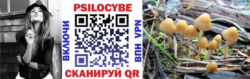 где продают наркотики  ОМГ ОМГ ТОР  Псилоцибиновые грибы Psilocybine cubensis  Беслан 